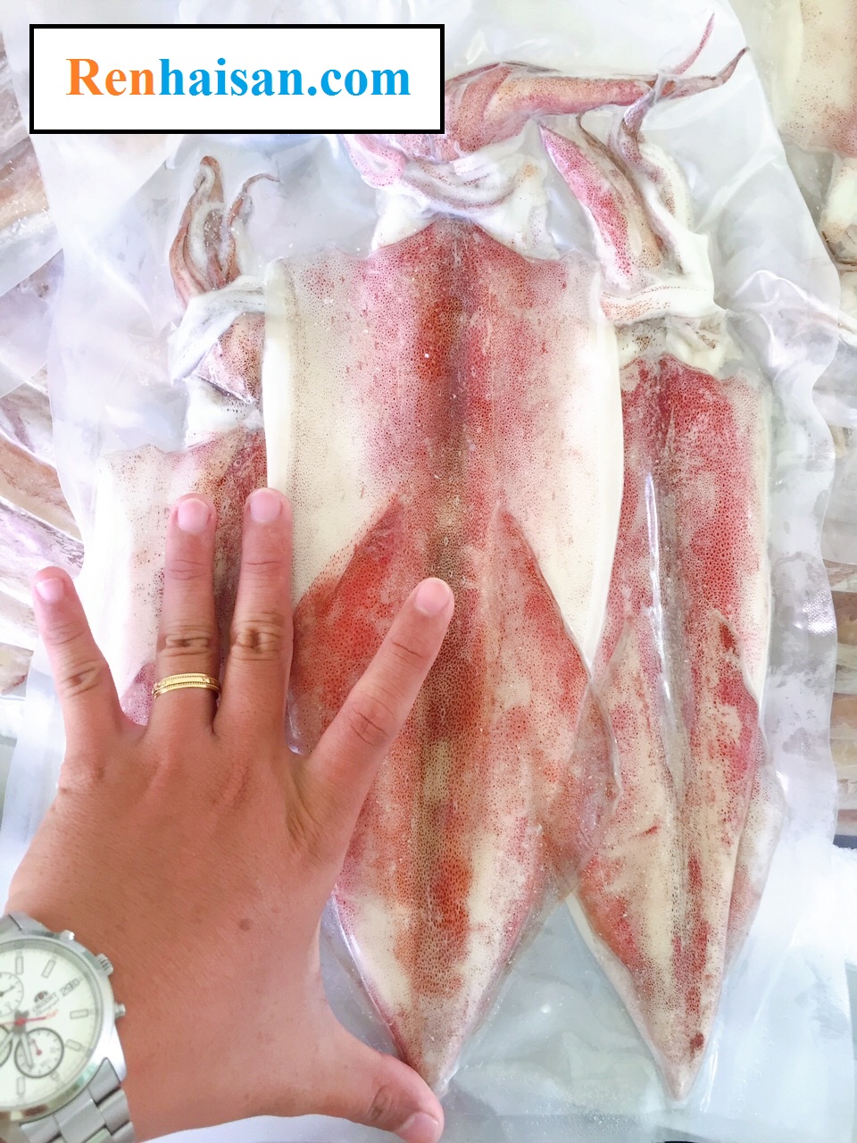 Mực một nắng - size (6 con/kg)